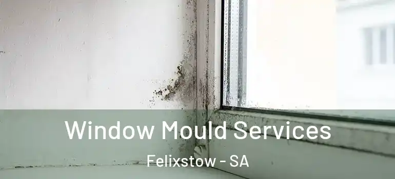 Window Mould Services Felixstow - SA