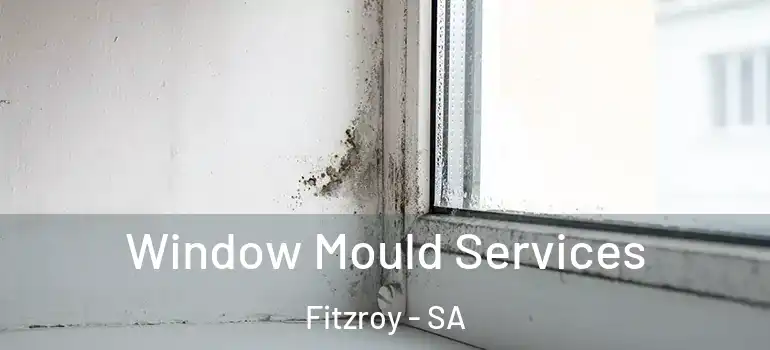 Window Mould Services Fitzroy - SA