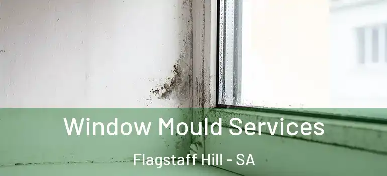 Window Mould Services Flagstaff Hill - SA