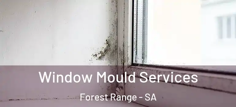 Window Mould Services Forest Range - SA