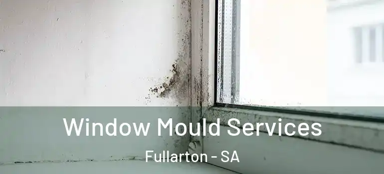 Window Mould Services Fullarton - SA