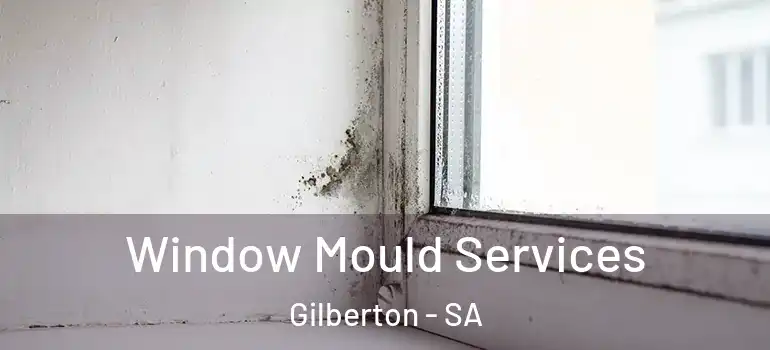  Window Mould Services Gilberton - SA