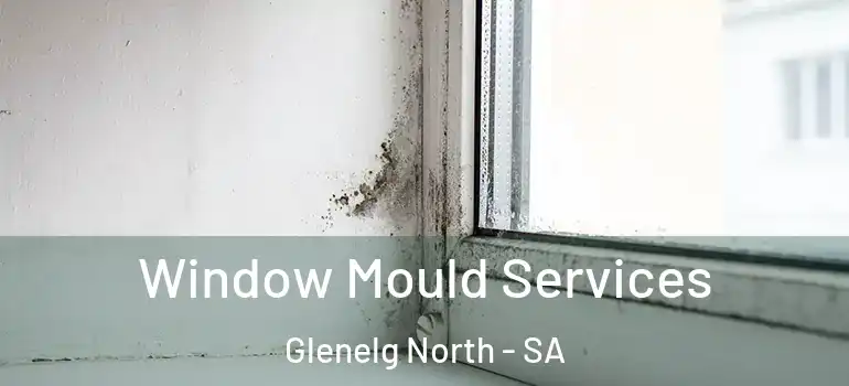 Window Mould Services Glenelg North - SA