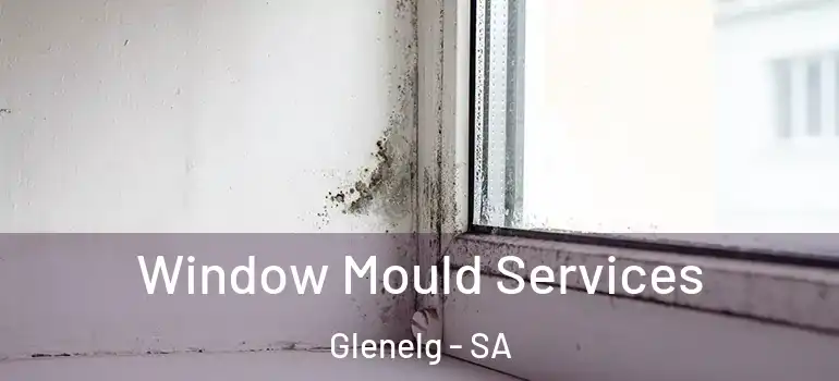 Window Mould Services Glenelg - SA