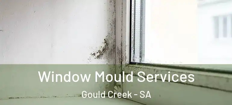  Window Mould Services Gould Creek - SA