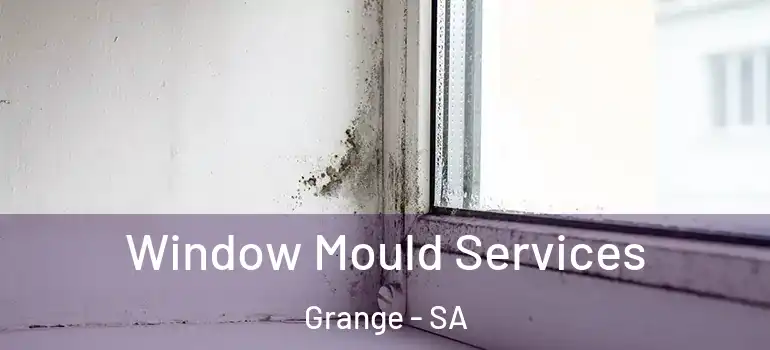 Window Mould Services Grange - SA