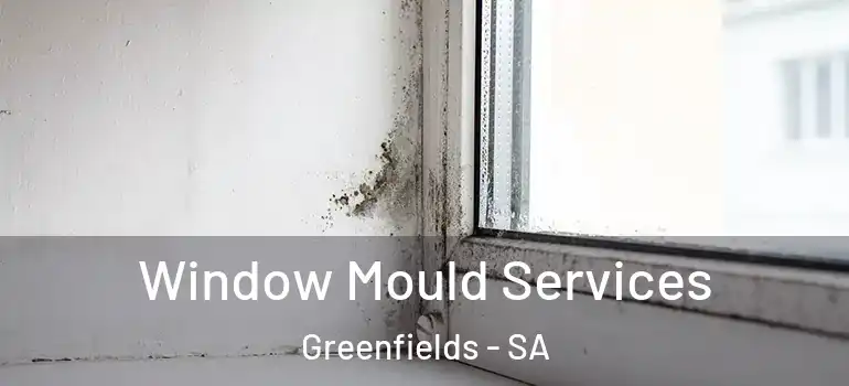 Window Mould Services Greenfields - SA