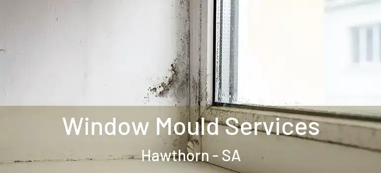 Window Mould Services Hawthorn - SA