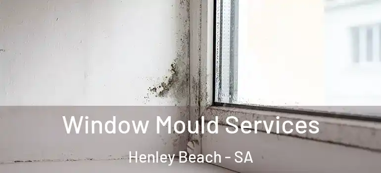 Window Mould Services Henley Beach - SA