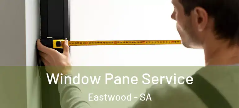 Window Pane Service Eastwood - SA