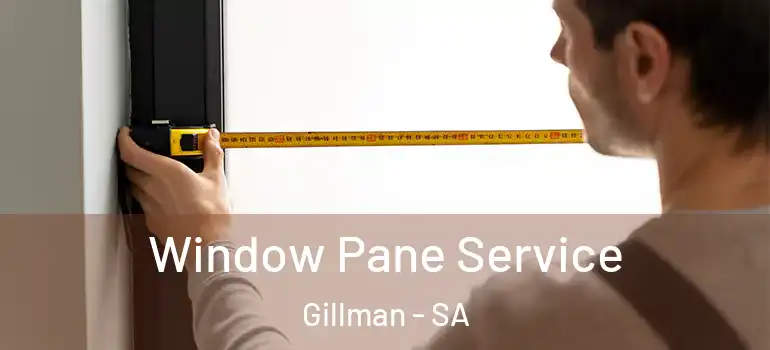 Window Pane Service Gillman - SA