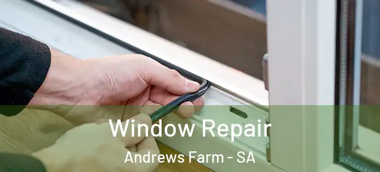 Window Repair Andrews Farm - SA