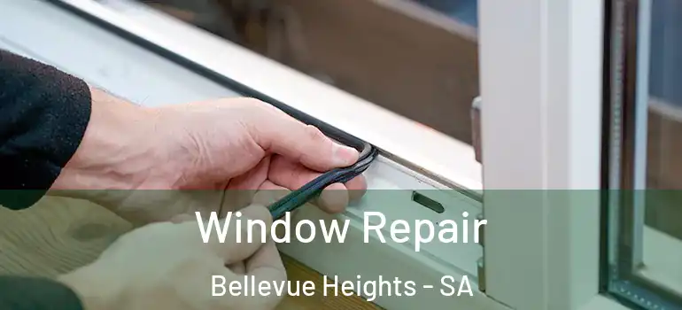  Window Repair Bellevue Heights - SA