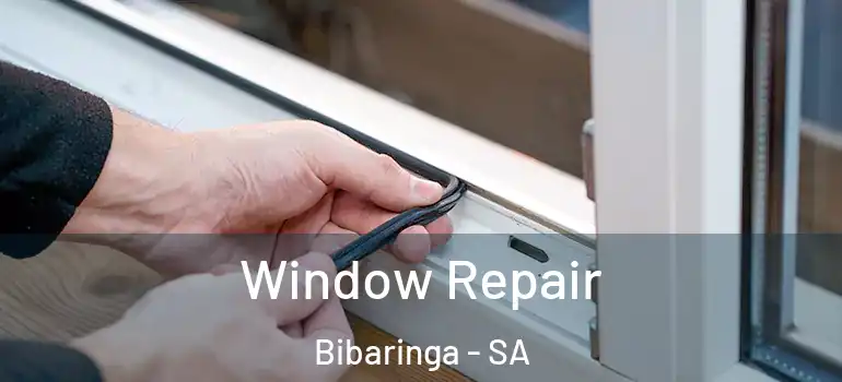  Window Repair Bibaringa - SA