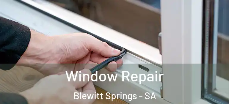 Window Repair Blewitt Springs - SA