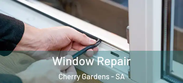 Window Repair Cherry Gardens - SA
