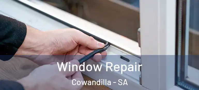  Window Repair Cowandilla - SA