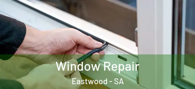  Window Repair Eastwood - SA