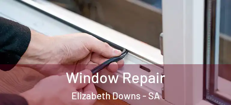 Window Repair Elizabeth Downs - SA