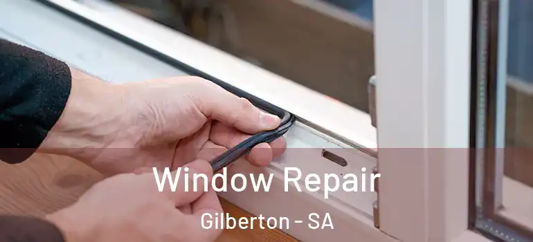 Window Repair Gilberton - SA