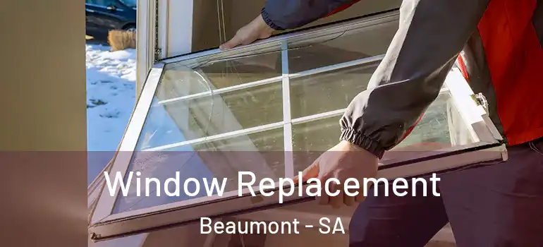 Window Replacement Beaumont - SA