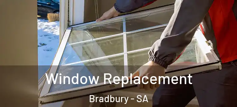  Window Replacement Bradbury - SA