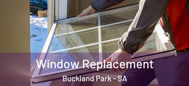 Window Replacement Buckland Park - SA