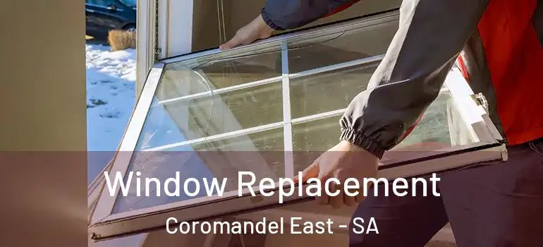Window Replacement Coromandel East - SA