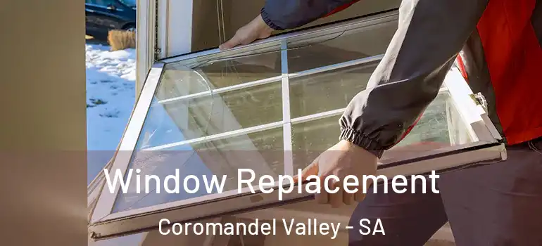 Window Replacement Coromandel Valley - SA