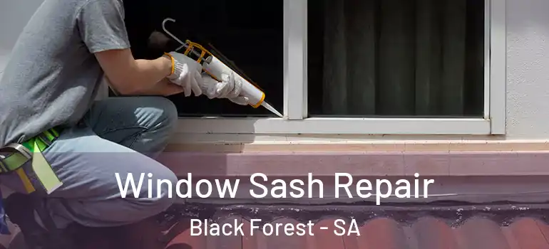 Window Sash Repair Black Forest - SA