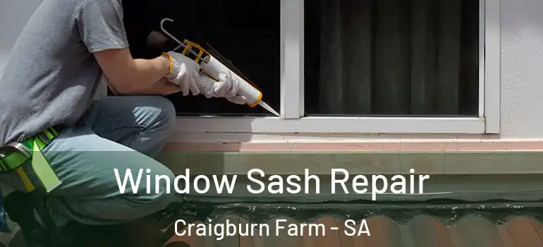 Window Sash Repair Craigburn Farm - SA