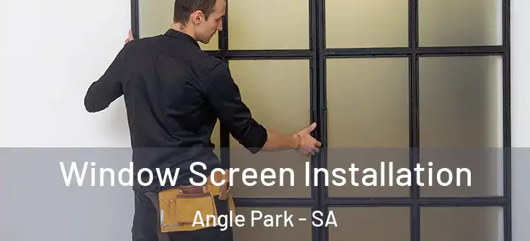 Window Screen Installation Angle Park - SA