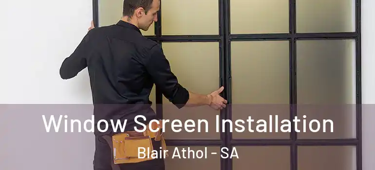 Window Screen Installation Blair Athol - SA