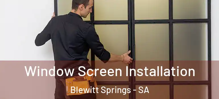 Window Screen Installation Blewitt Springs - SA