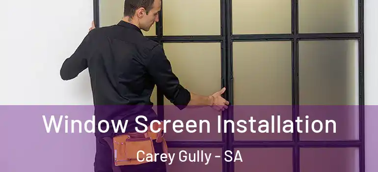 Window Screen Installation Carey Gully - SA