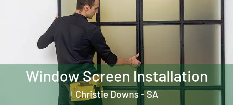 Window Screen Installation Christie Downs - SA