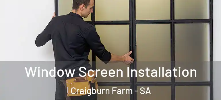 Window Screen Installation Craigburn Farm - SA