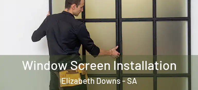 Window Screen Installation Elizabeth Downs - SA