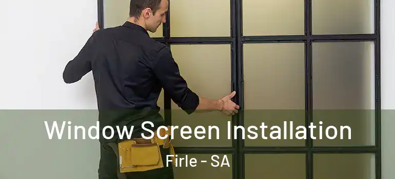 Window Screen Installation Firle - SA