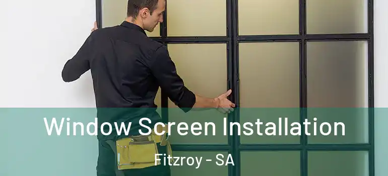 Window Screen Installation Fitzroy - SA