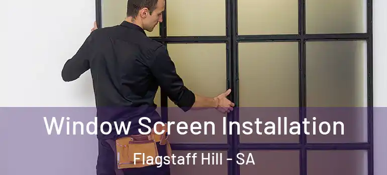 Window Screen Installation Flagstaff Hill - SA