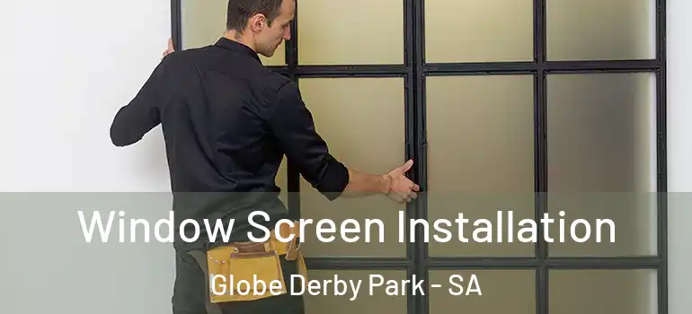 Window Screen Installation Globe Derby Park - SA
