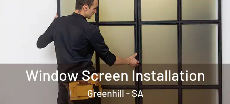 Window Screen Installation Greenhill - SA
