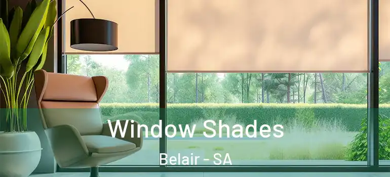  Window Shades Belair - SA