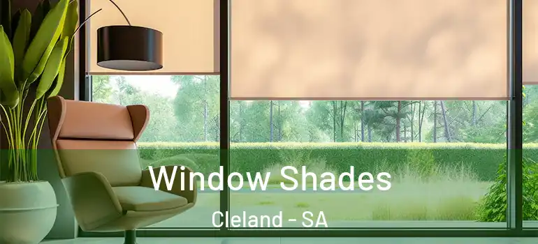 Window Shades Cleland - SA