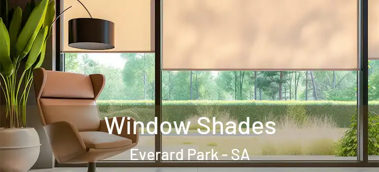 Window Shades Everard Park - SA