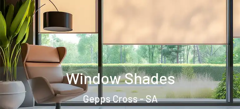 Window Shades Gepps Cross - SA