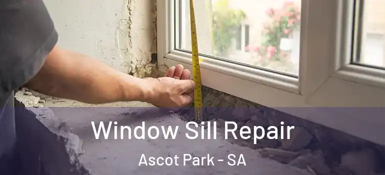  Window Sill Repair Ascot Park - SA