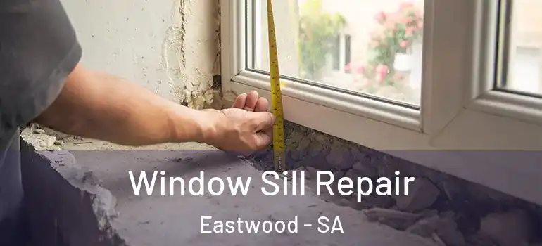  Window Sill Repair Eastwood - SA