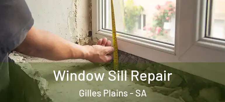 Window Sill Repair Gilles Plains - SA